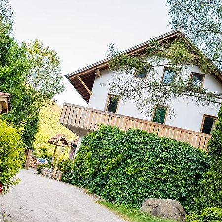 Oeko-Park Panzio, Kemping Es Rendezvenykoezpont Szarvaskő Exterior foto