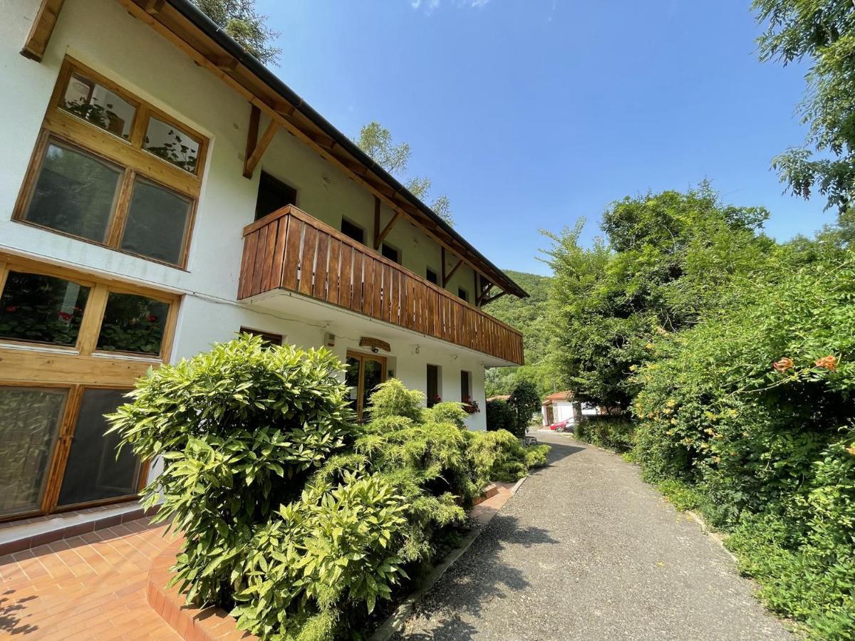 Oeko-Park Panzio, Kemping Es Rendezvenykoezpont Szarvaskő Exterior foto