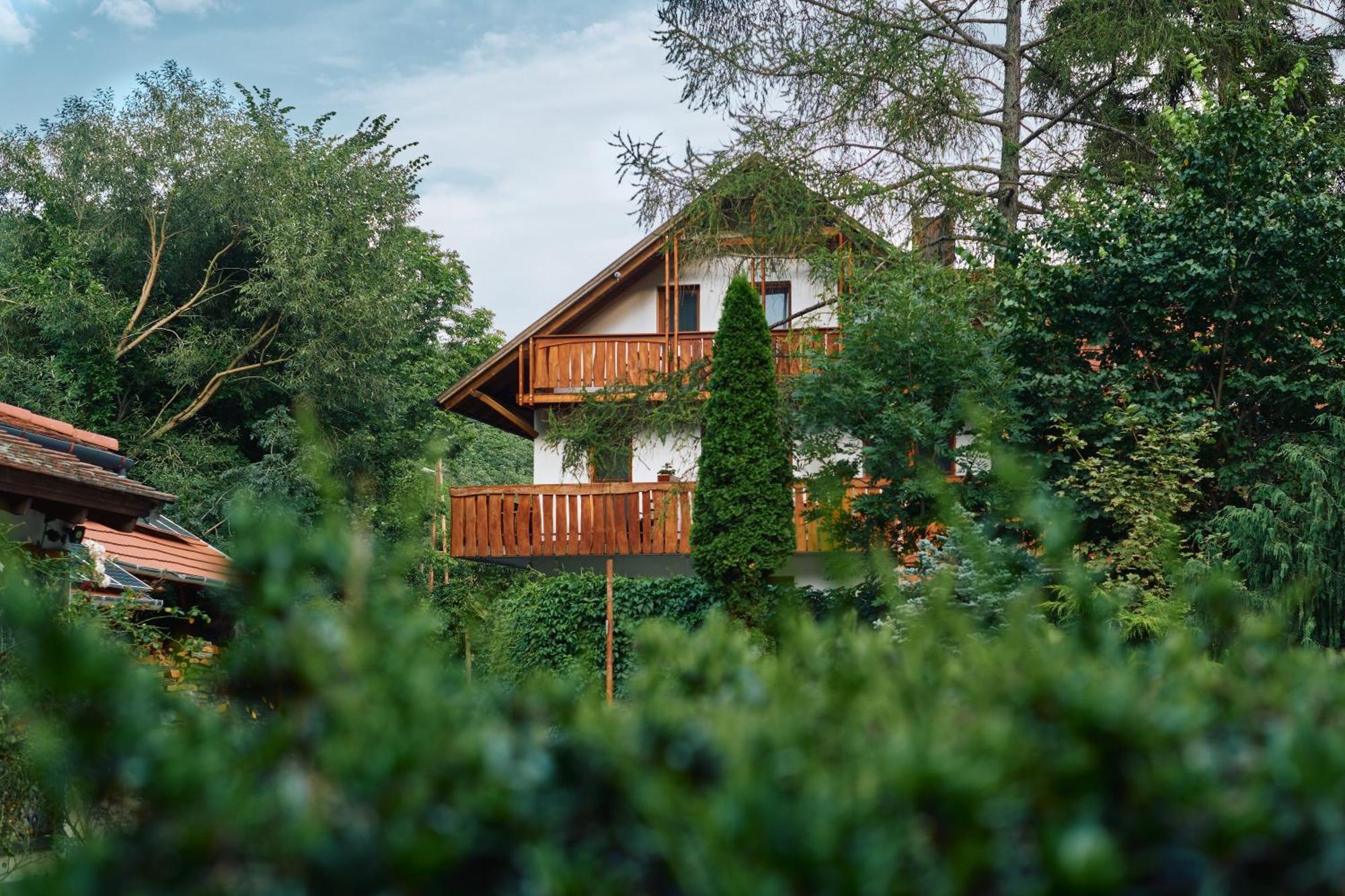 Oeko-Park Panzio, Kemping Es Rendezvenykoezpont Szarvaskő Exterior foto