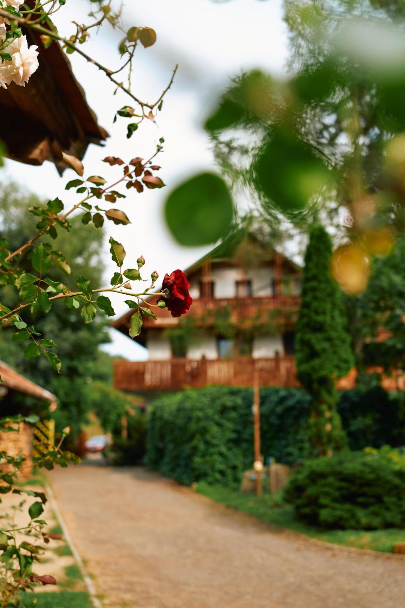 Oeko-Park Panzio, Kemping Es Rendezvenykoezpont Szarvaskő Exterior foto