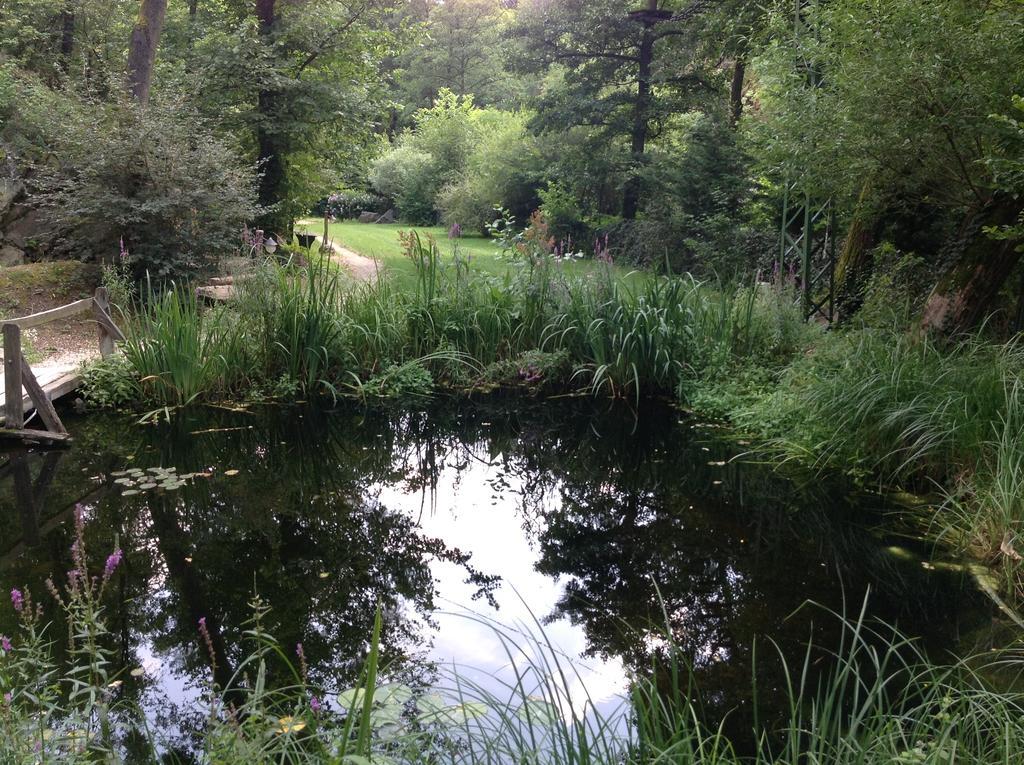 Oeko-Park Panzio, Kemping Es Rendezvenykoezpont Szarvaskő Exterior foto
