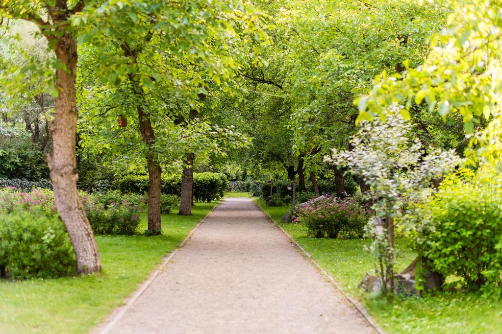 Oeko-Park Panzio, Kemping Es Rendezvenykoezpont Szarvaskő Exterior foto