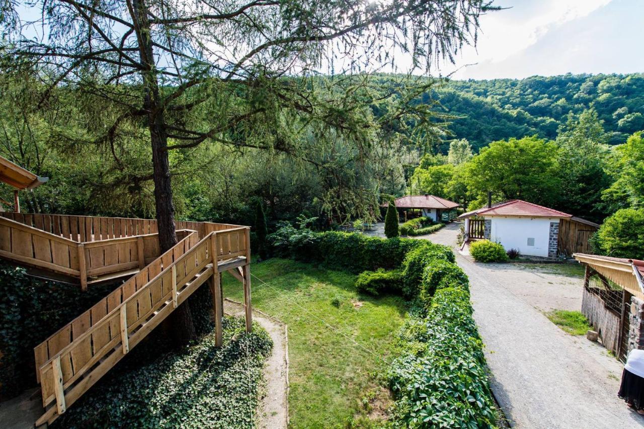 Oeko-Park Panzio, Kemping Es Rendezvenykoezpont Szarvaskő Exterior foto